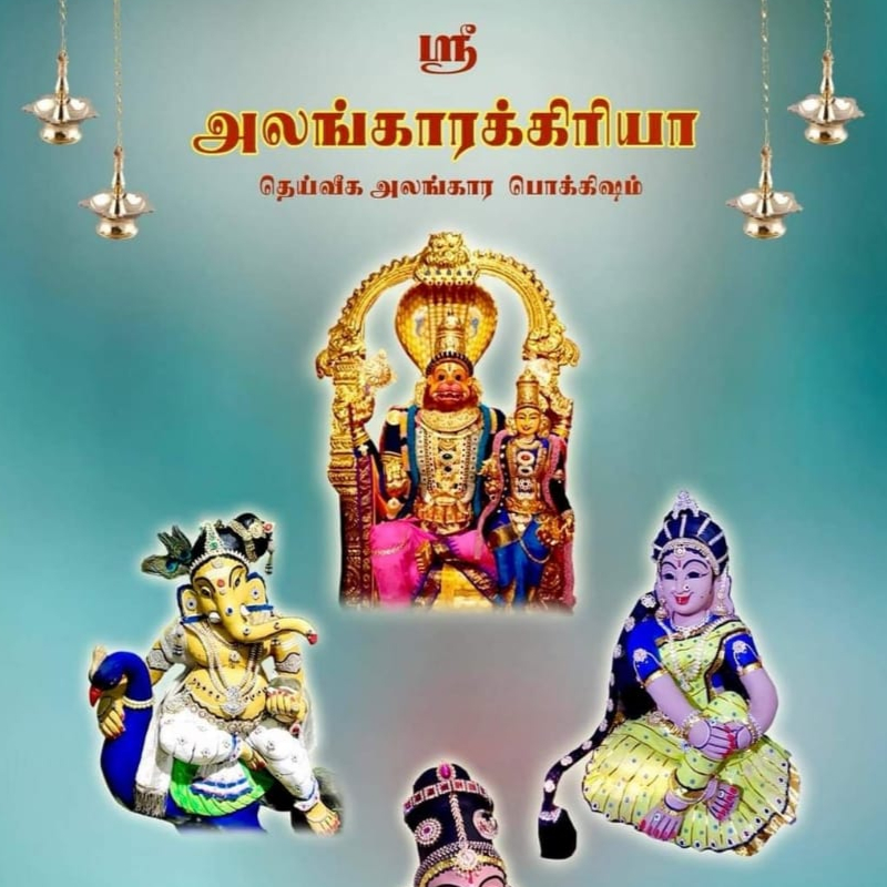 Publications & Books